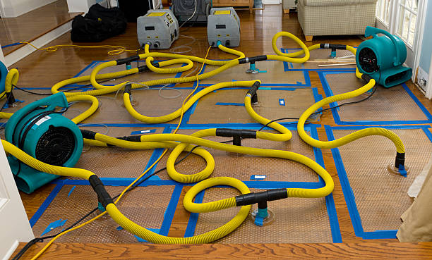 Professional Burst Pipe Water Damage technician working in Bellvue, CO